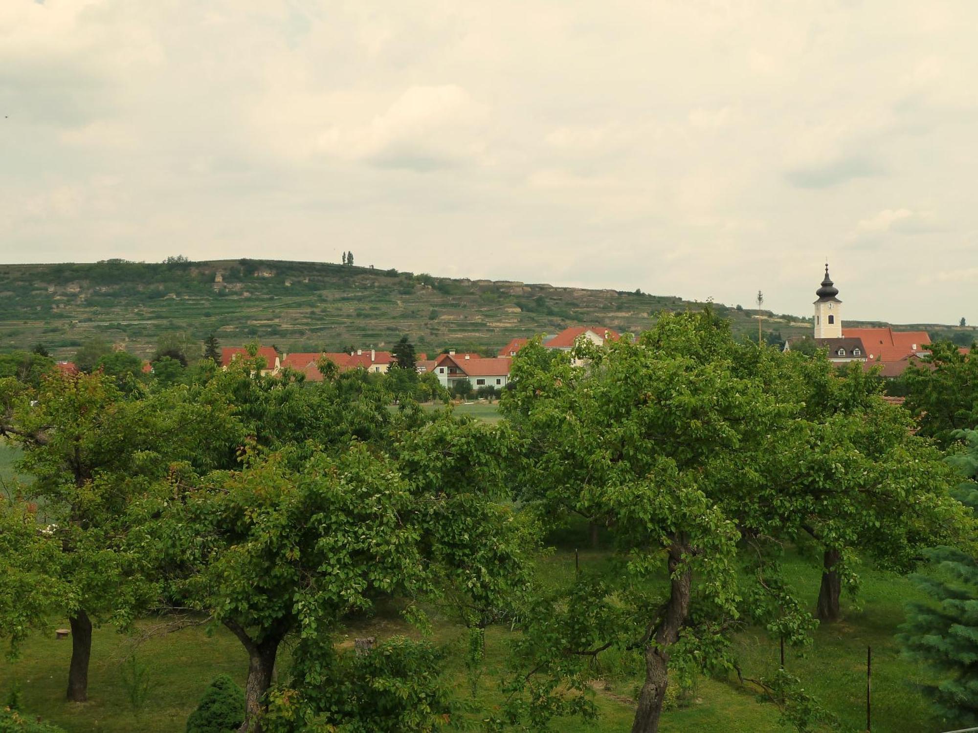 Ferienwohnung Weinbergblick Rohrendorf bei Krems Dış mekan fotoğraf