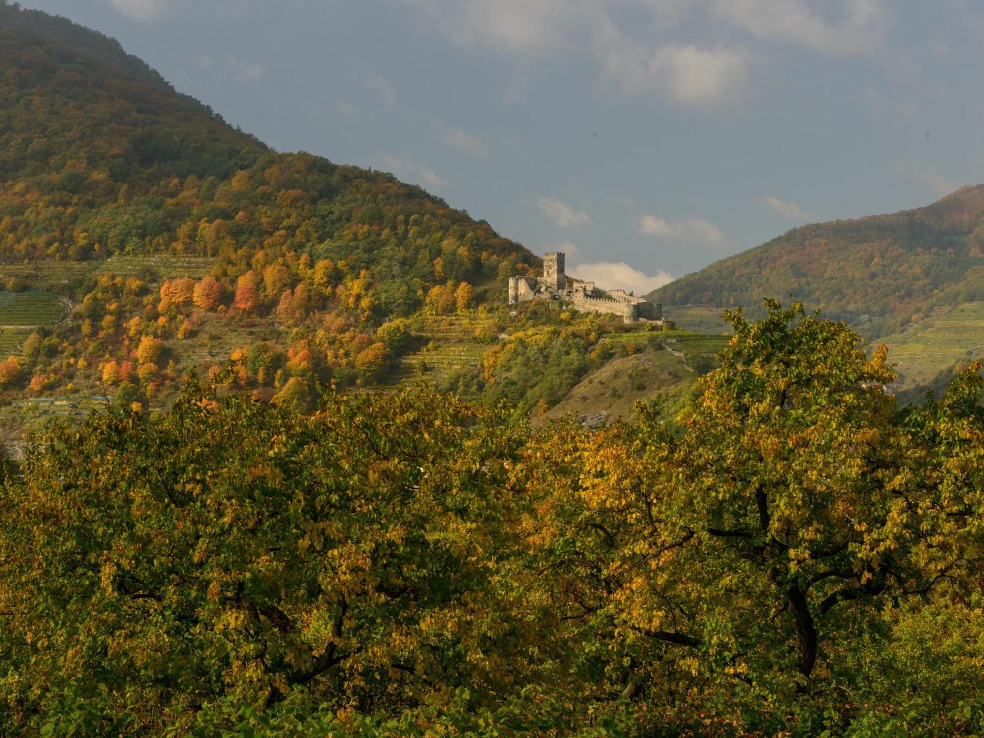 Ferienwohnung Weinbergblick Rohrendorf bei Krems Dış mekan fotoğraf