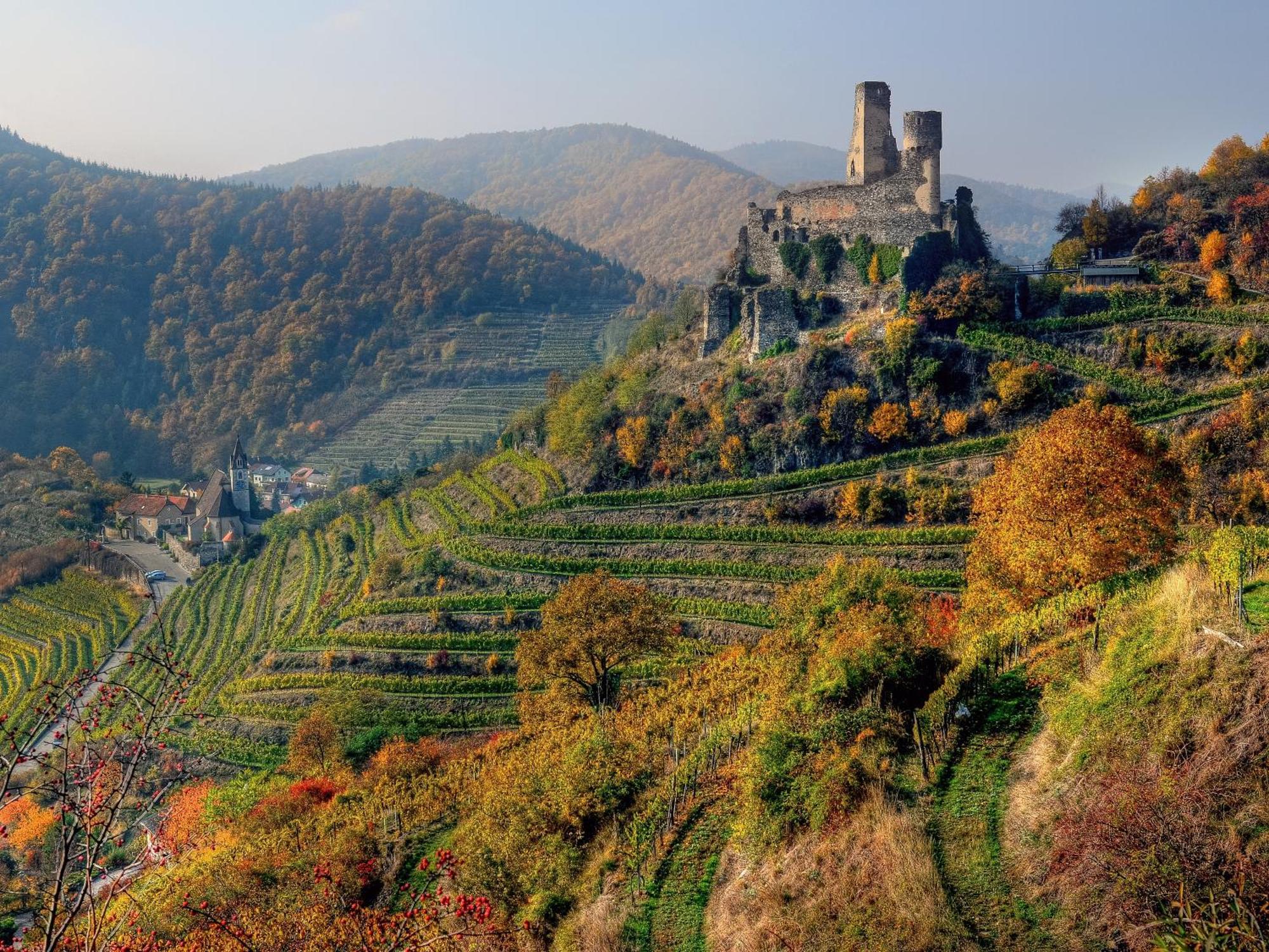 Ferienwohnung Weinbergblick Rohrendorf bei Krems Dış mekan fotoğraf