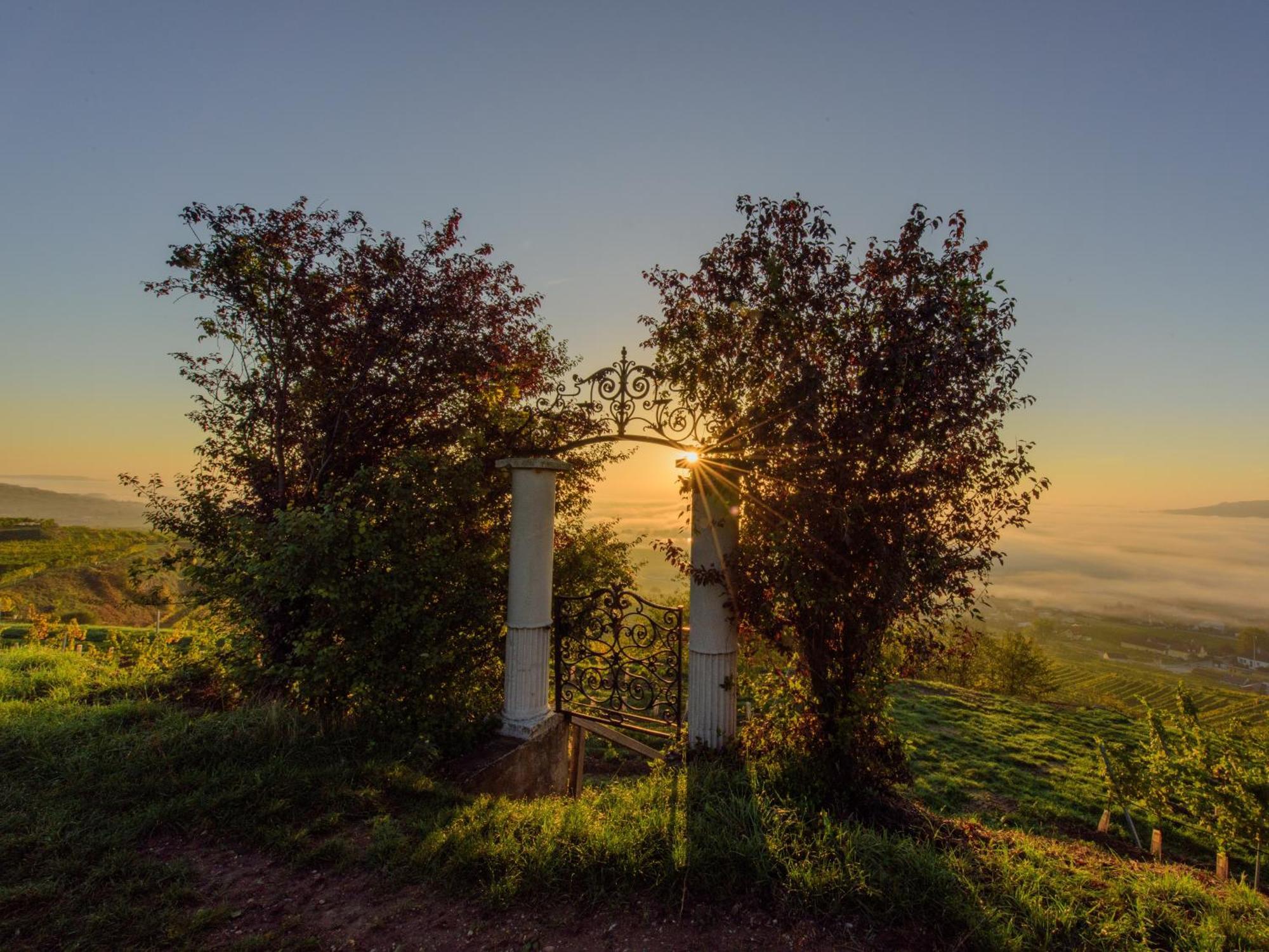 Ferienwohnung Weinbergblick Rohrendorf bei Krems Dış mekan fotoğraf